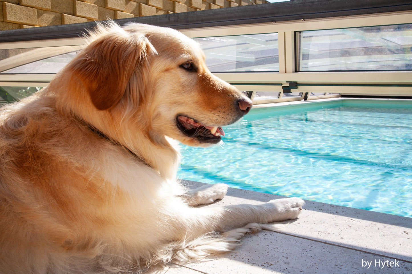 Abri piscine VISUAL